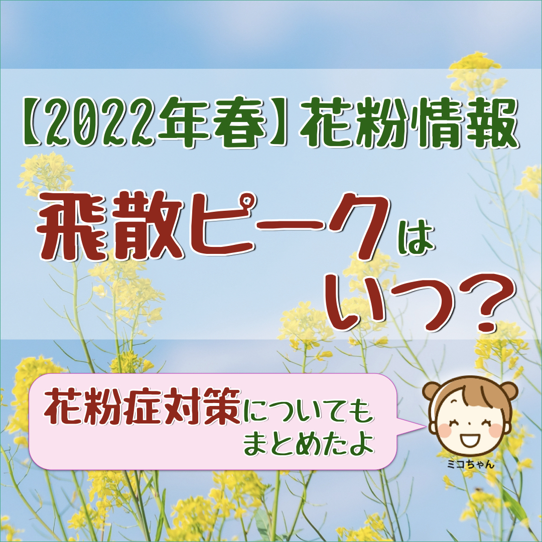 22年春 花粉情報 スギ花粉の飛散ピークはいつ ミコちゃんの夢のマイホーム計画